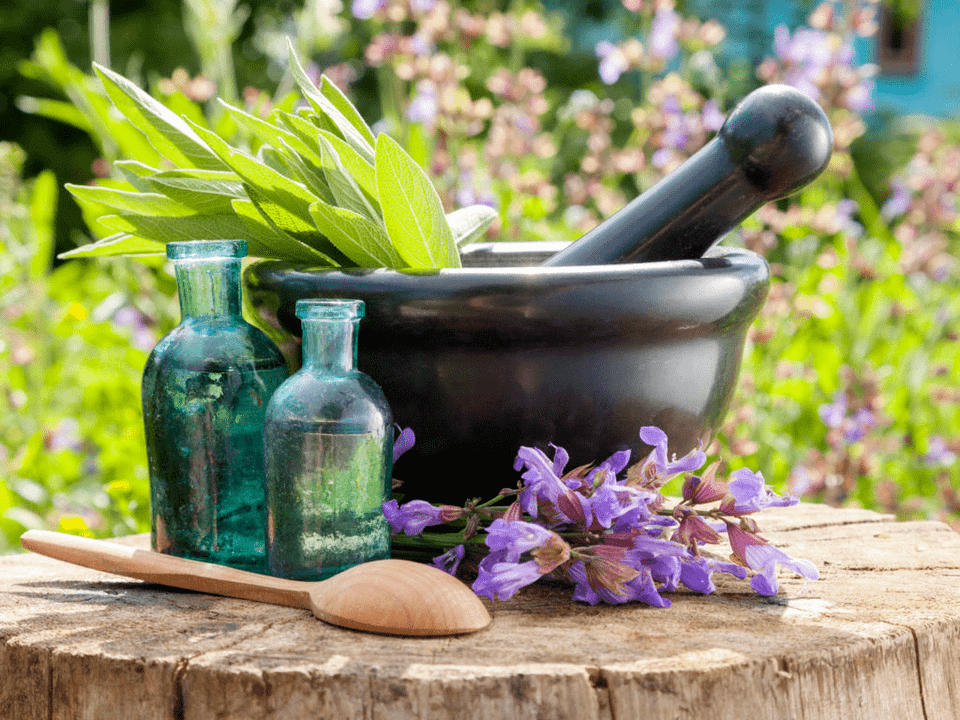 گیاهان دارویی برای حمام های شفابخش پوکی استخوان